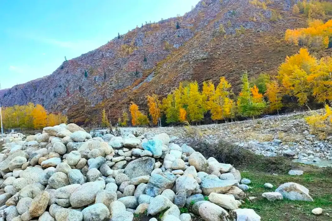Hotels near Xiaodong Ditch Forest Park