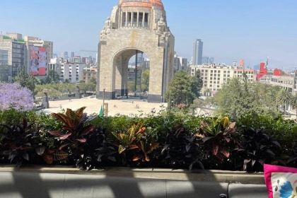 Terraza Cha Cha Chá