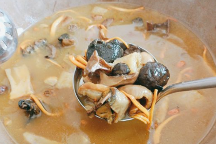 老江川8号石锅鱼山珍.野生菌