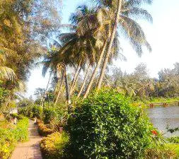 Vanganga Lake Garden