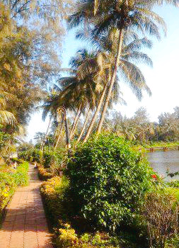Vanganga Garden