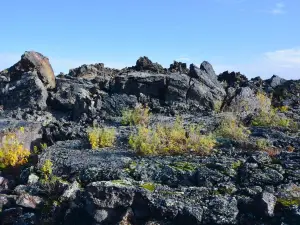Laoheishan (Volcano) Scenic Area - Stone Sea