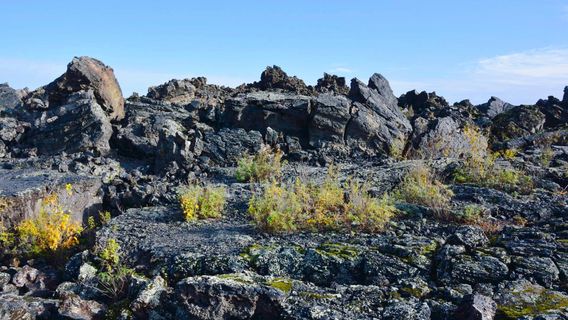 Laoheishan (Volcano) Scenic Area - Stone Sea