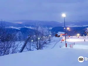 Jaworzyna Krynicka 1114m asl