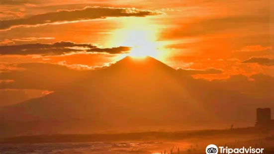 Kanagawa Prefectural Shonan Coast Park