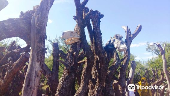 Yucat Parque Tematico