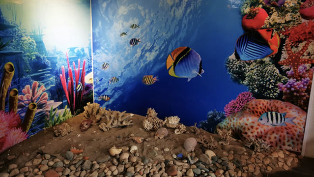 dong ji li si ben wan chen chuan ji nian guan