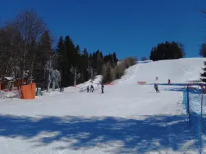 Camp d'argent