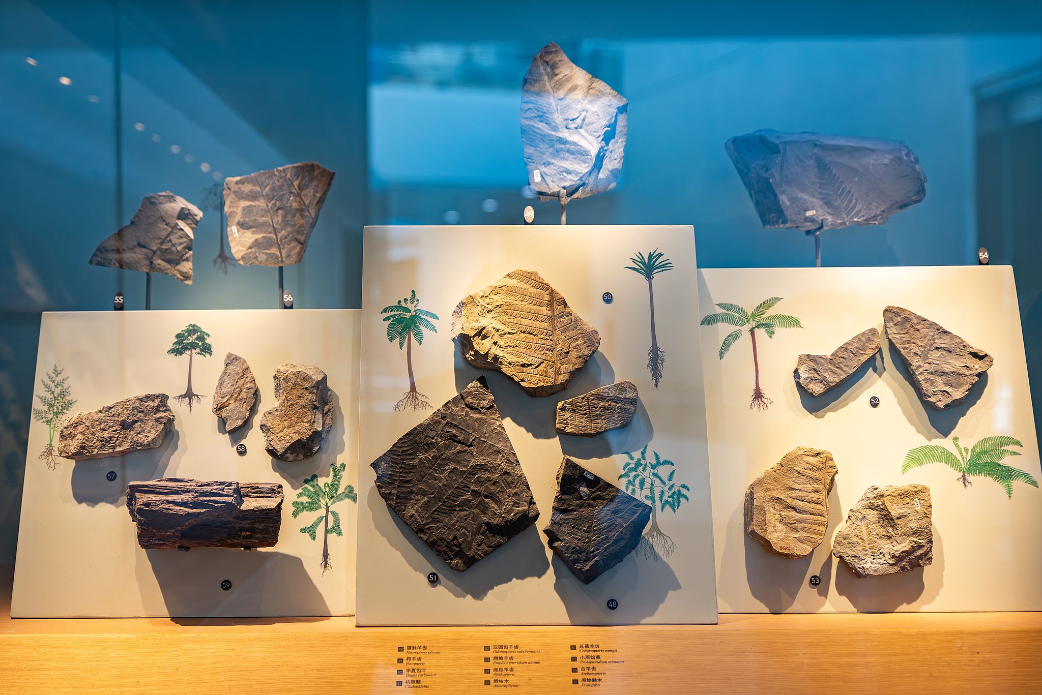 【上海研學】上海自然博物館親子研學活動／半日營／一日營【含門票＋課程導覽＋耳機】|沉浸式生命探險之旅