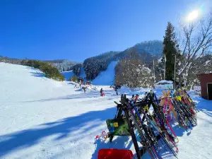 Zao Sarukura