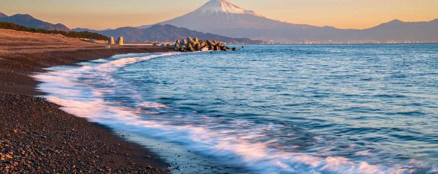 Shizuoka