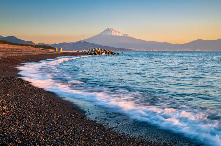 Mystays Hotels in Shizuoka