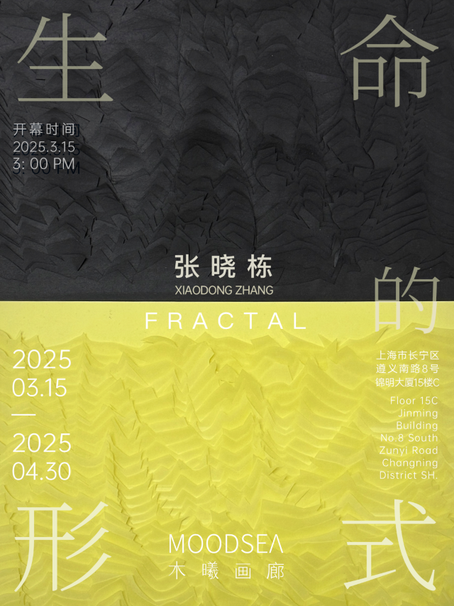《生命的形式 Fractal》張曉棟特展 | 上海