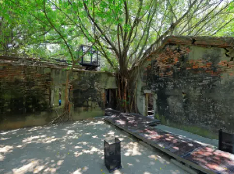 Fioriture Primaverili a Tainan: le opzioni più popolari