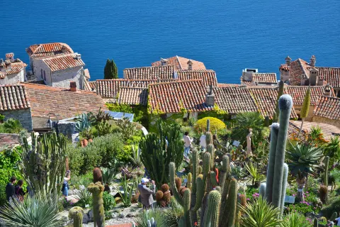Eze exotic garden