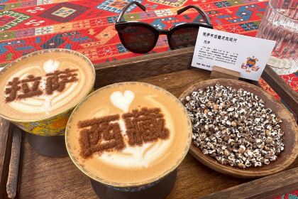 格萨甲波藏式观景咖啡(布达拉宫店)