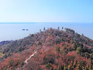 차오후의 인기 가을 경치