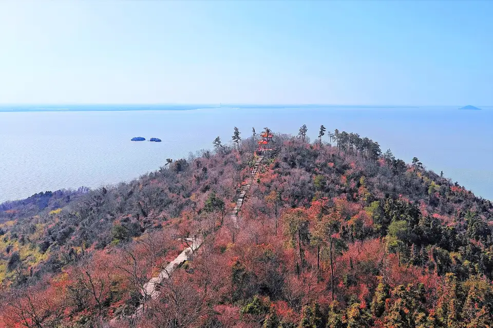 5_姥山島