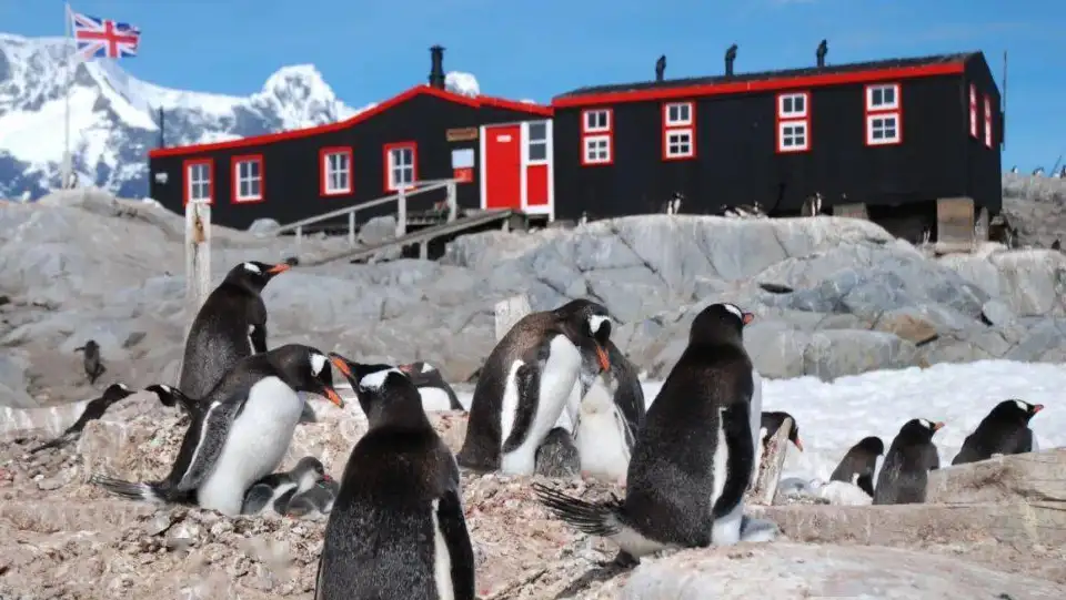 1_Penguin Post Office