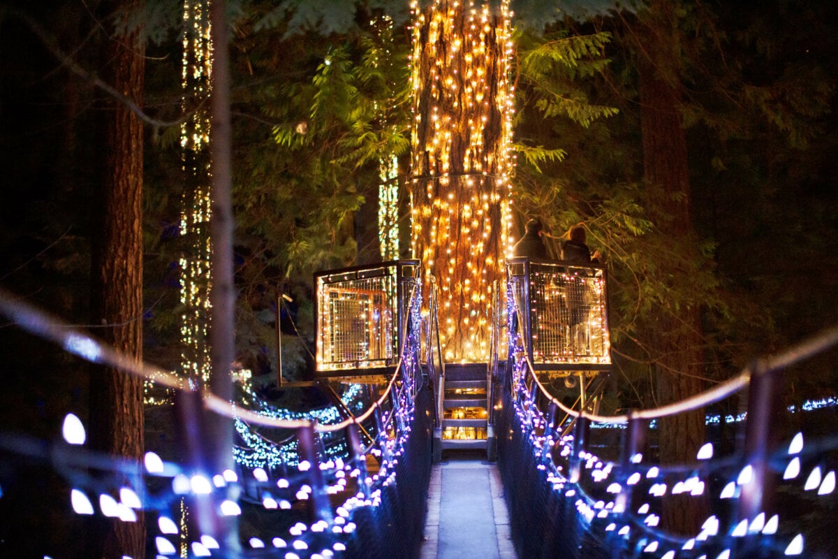 Capilano Canyon Lights Show | North Vancouver