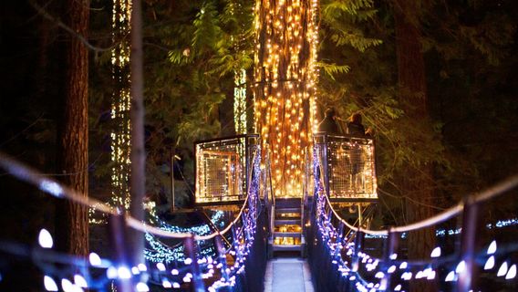 Capilano Canyon Lights Show