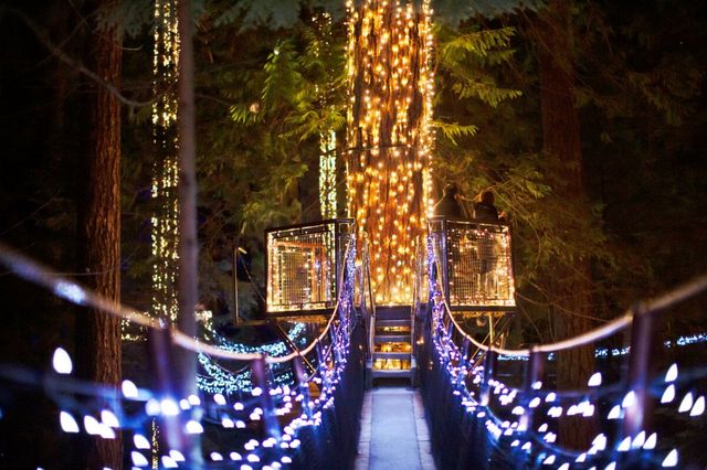 Capilano Canyon Lights Show | North Vancouver