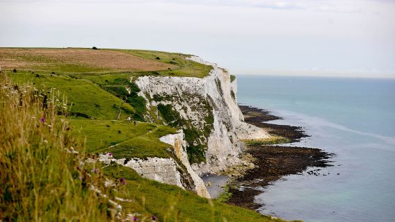 White Cliffs of Dover