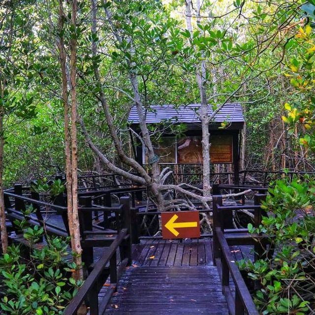 วนอุทยานปราณบุรี