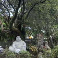 「陽明春天・心五藝文創園區」充滿禪意，臺北好去處！