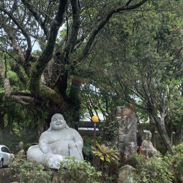 「陽明春天・心五藝文創園區」充滿禪意，臺北好去處！