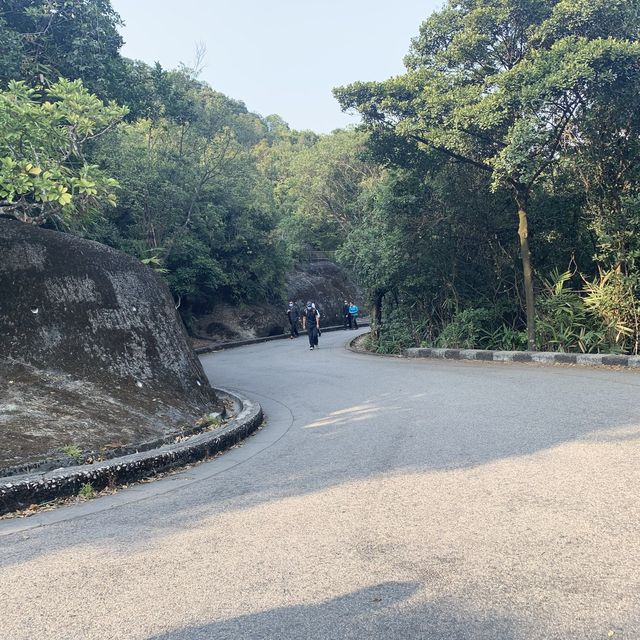 新手合家歡行山路線 遠眺港島東及九龍東景