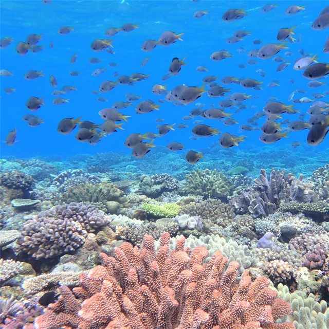 沖縄本島からすぐ行ける水納島
