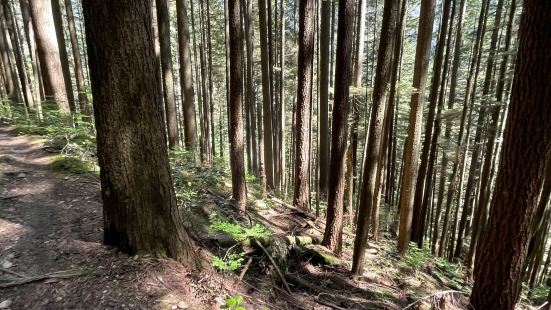 非常多的trail，值得到處去探究的，很多地方只有自行車或者