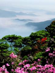 陽嶺国家森林公園（西北門）