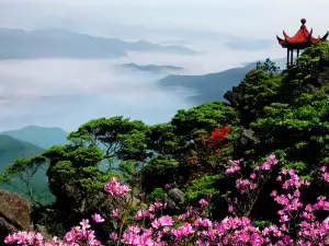 Yangling National Forest Park