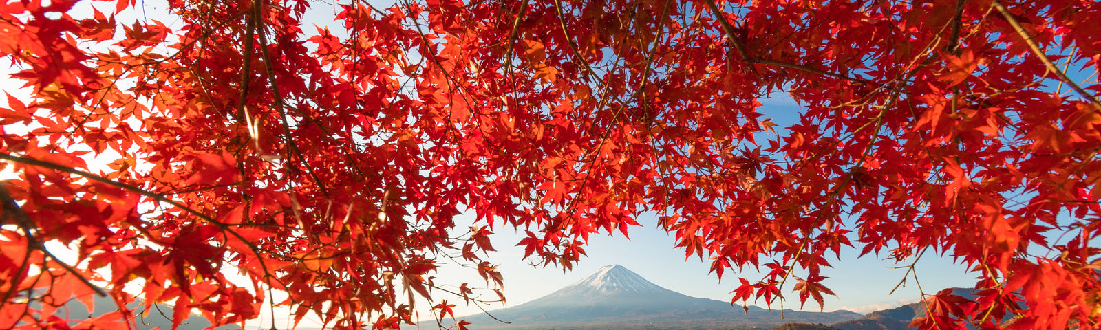 나루사와 촌데이 투어