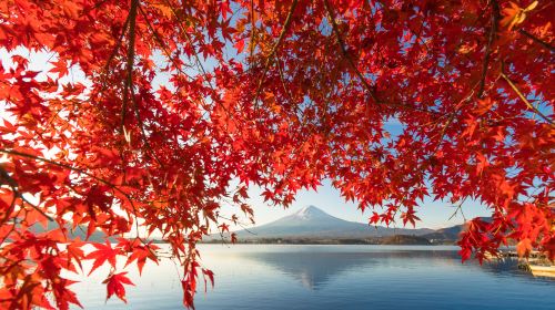 Fuji-Subaru Line 5th Station