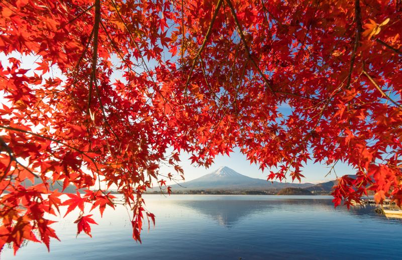 富士山五合目