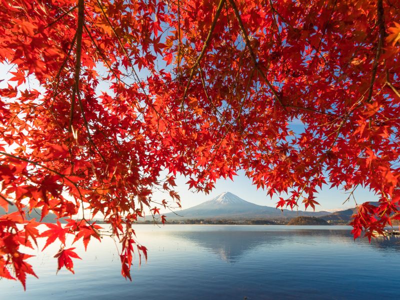 富士山五合目