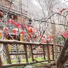 Taopingqiangzhai'ermarenjia User Photo