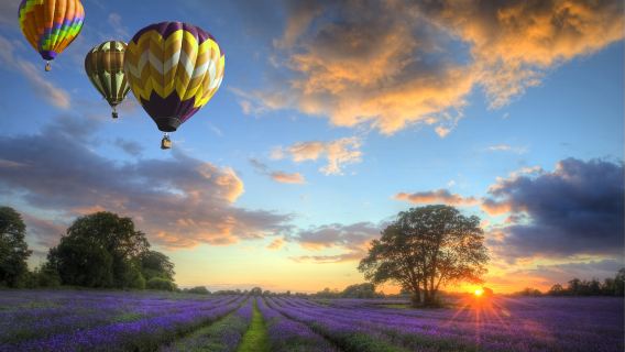 ゴールドコースト熱気球半日ツアー【航空税・シャンパンブレックファスト・ゴールドコースト送迎込み】