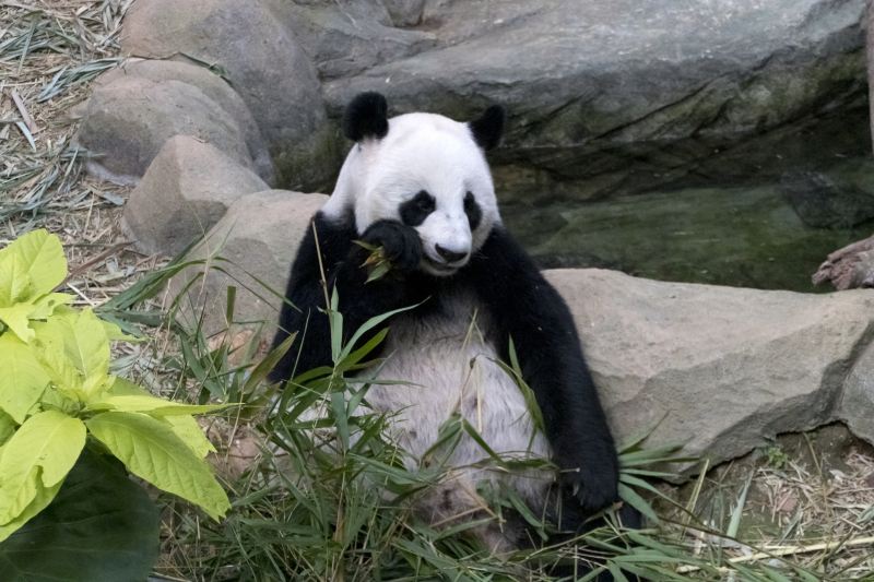 台北市立動物園