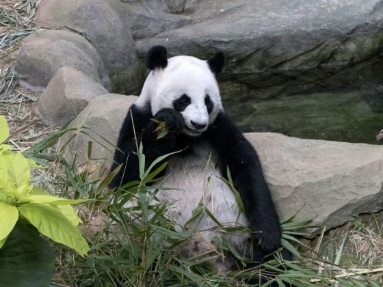 台北市立動物園