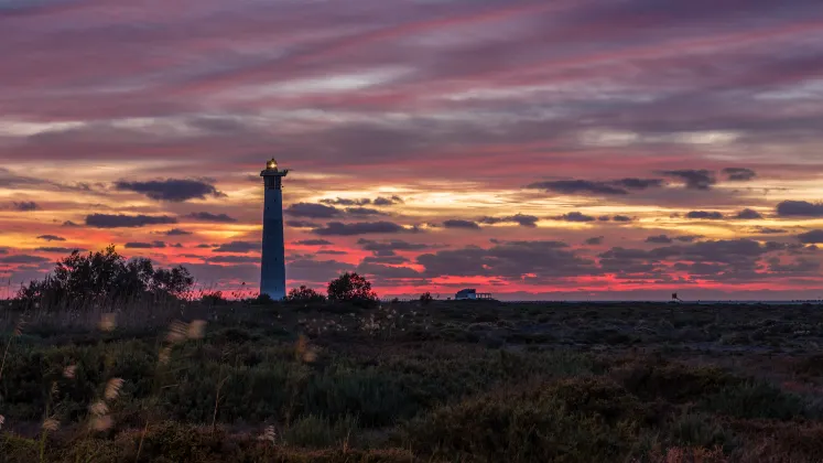 Отели с услугой спа в г. Онна