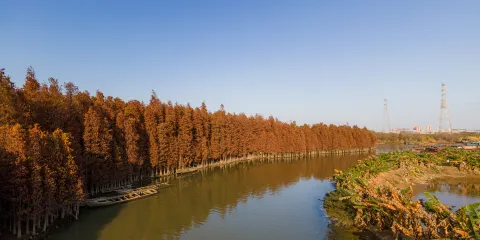 古華園