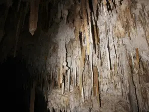 Jewel Cave