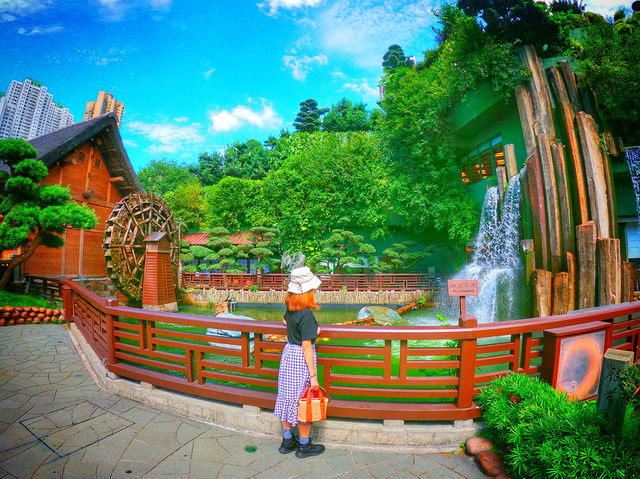 【去咗京都金閣寺！？其實係南蓮池園】#我好挂住！