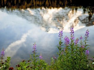 뉴욕 출발 시애틀 도착 비행시간