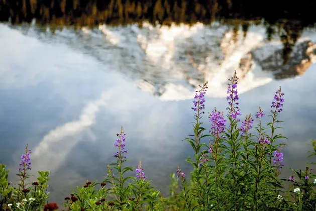 Отели с услугой бассейном в г. Скаджит