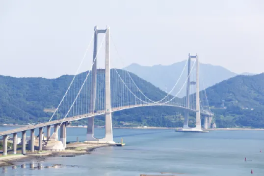 กวางยาง